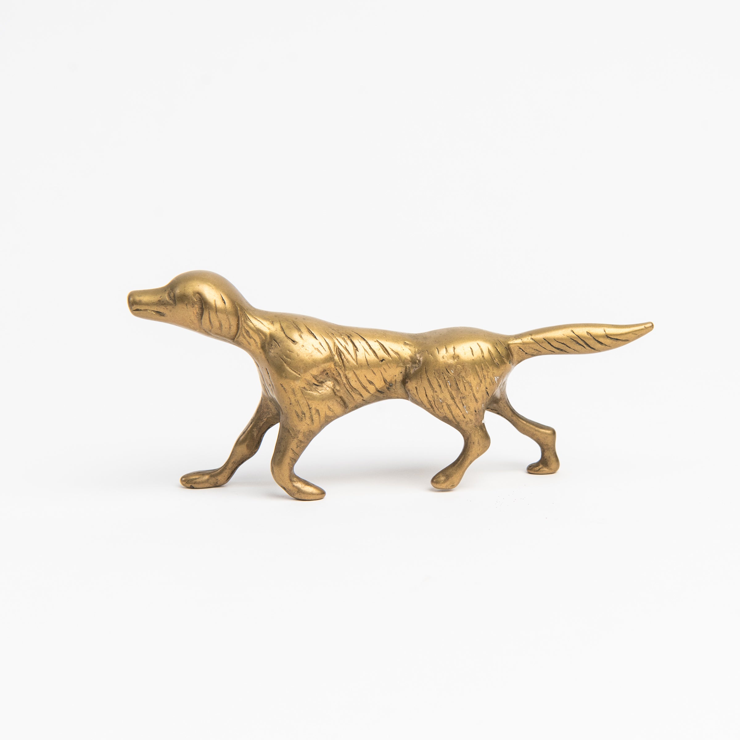 Vintage Brass Dog on a white background at Addison West