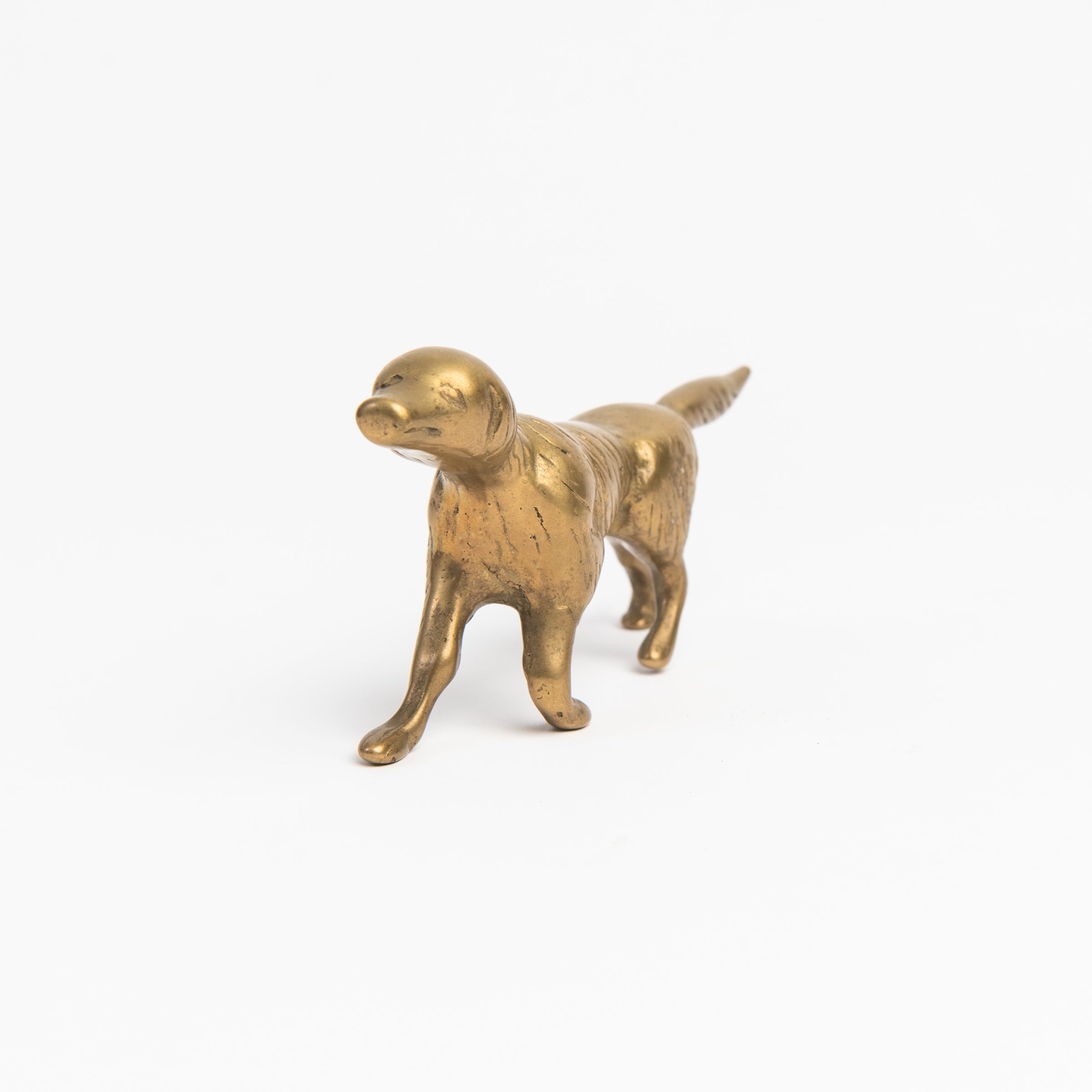 Vintage Brass Dog on a white background at Addison West