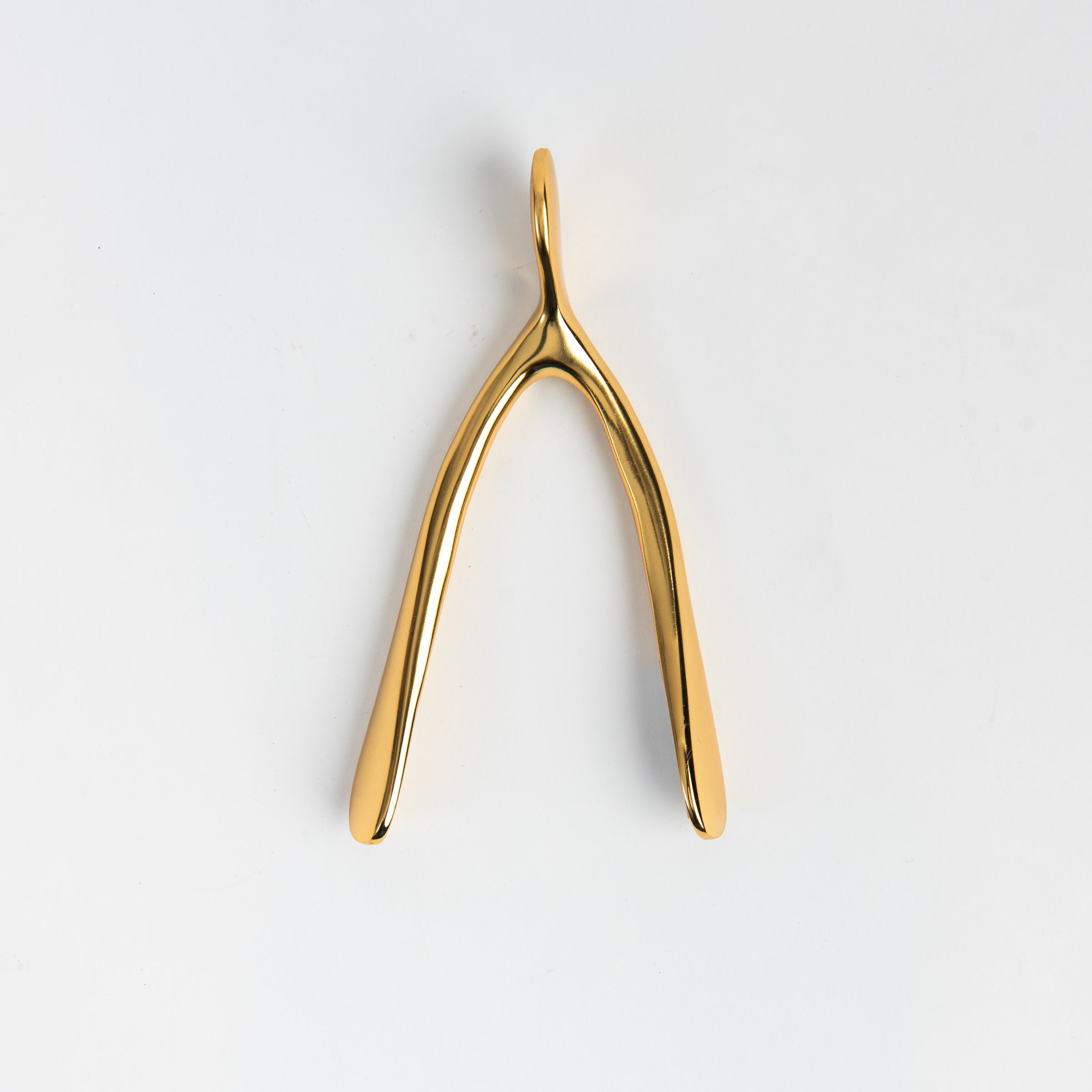 Small Gold Wishbone on a white background at Addison West