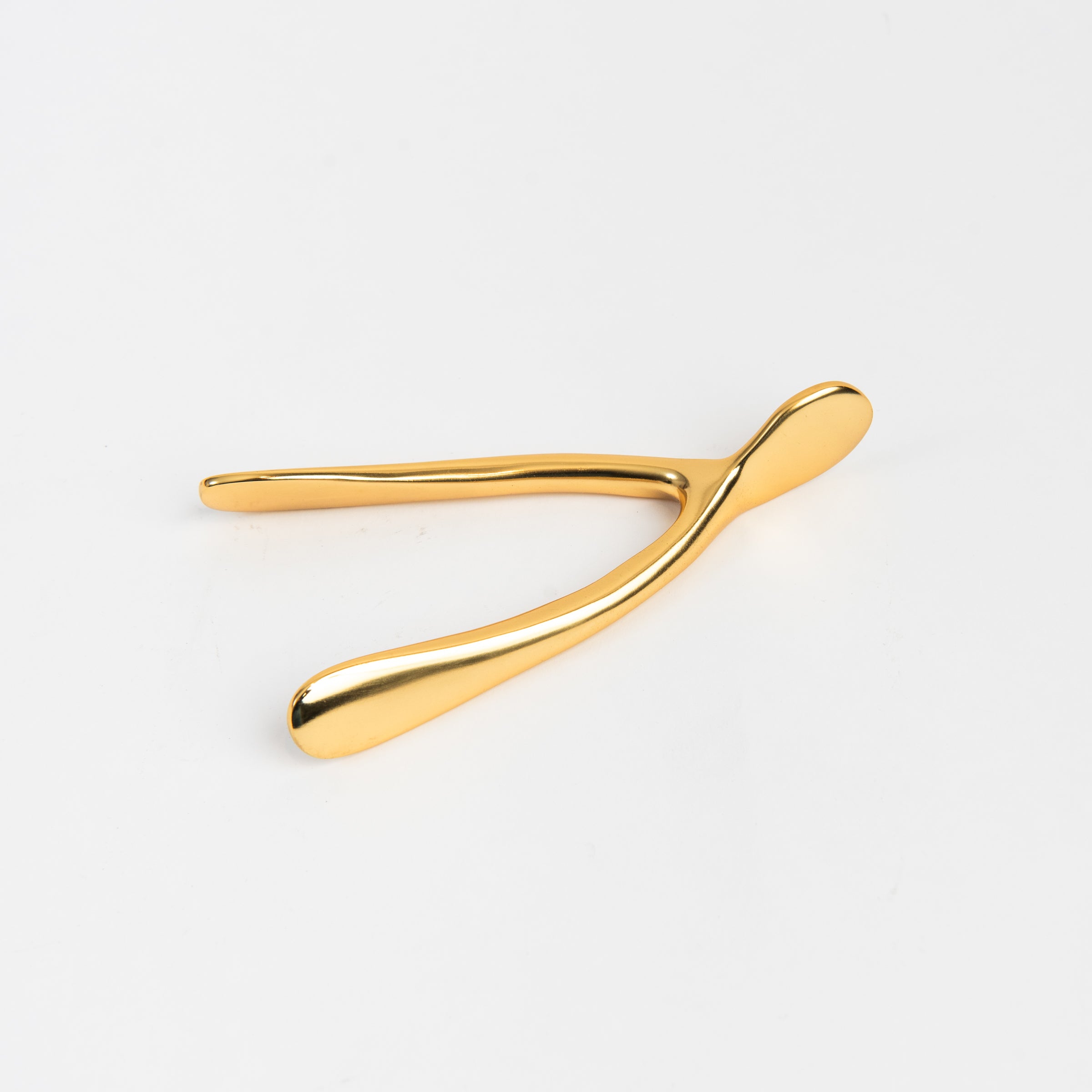 Small Gold Wishbone on a white background at Addison West