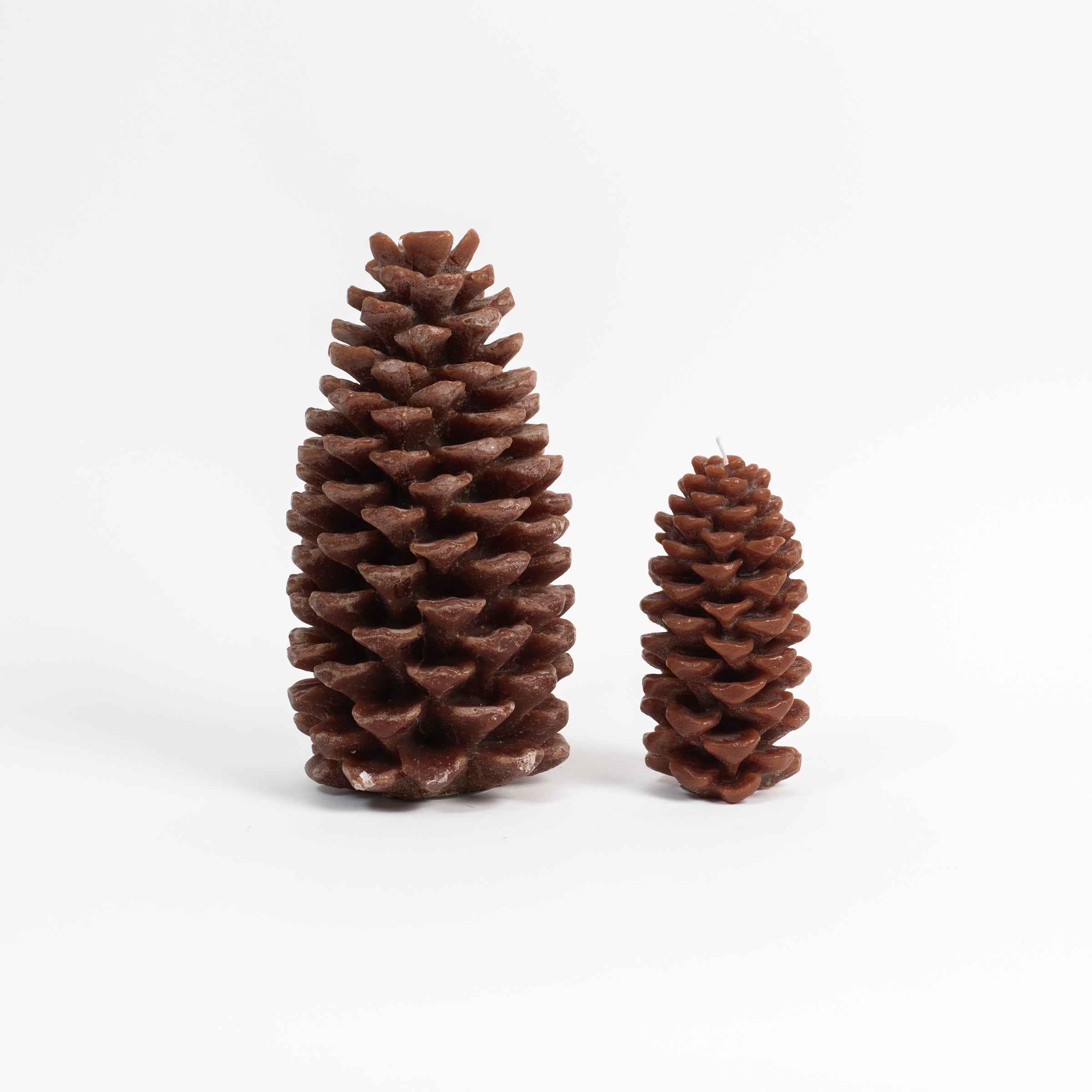 Pinecone Candle – Addison West