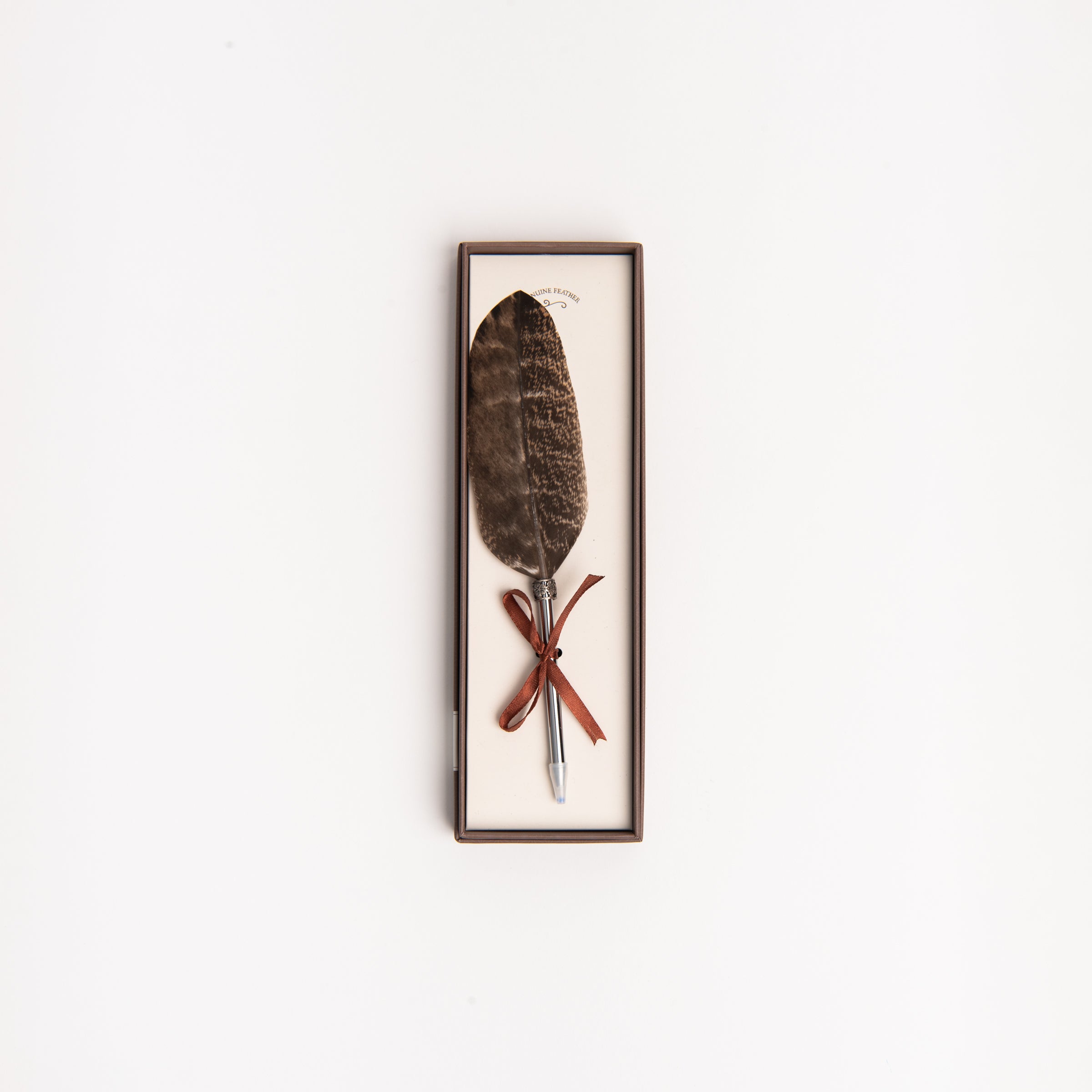 Feather pen on a white background at Addison West