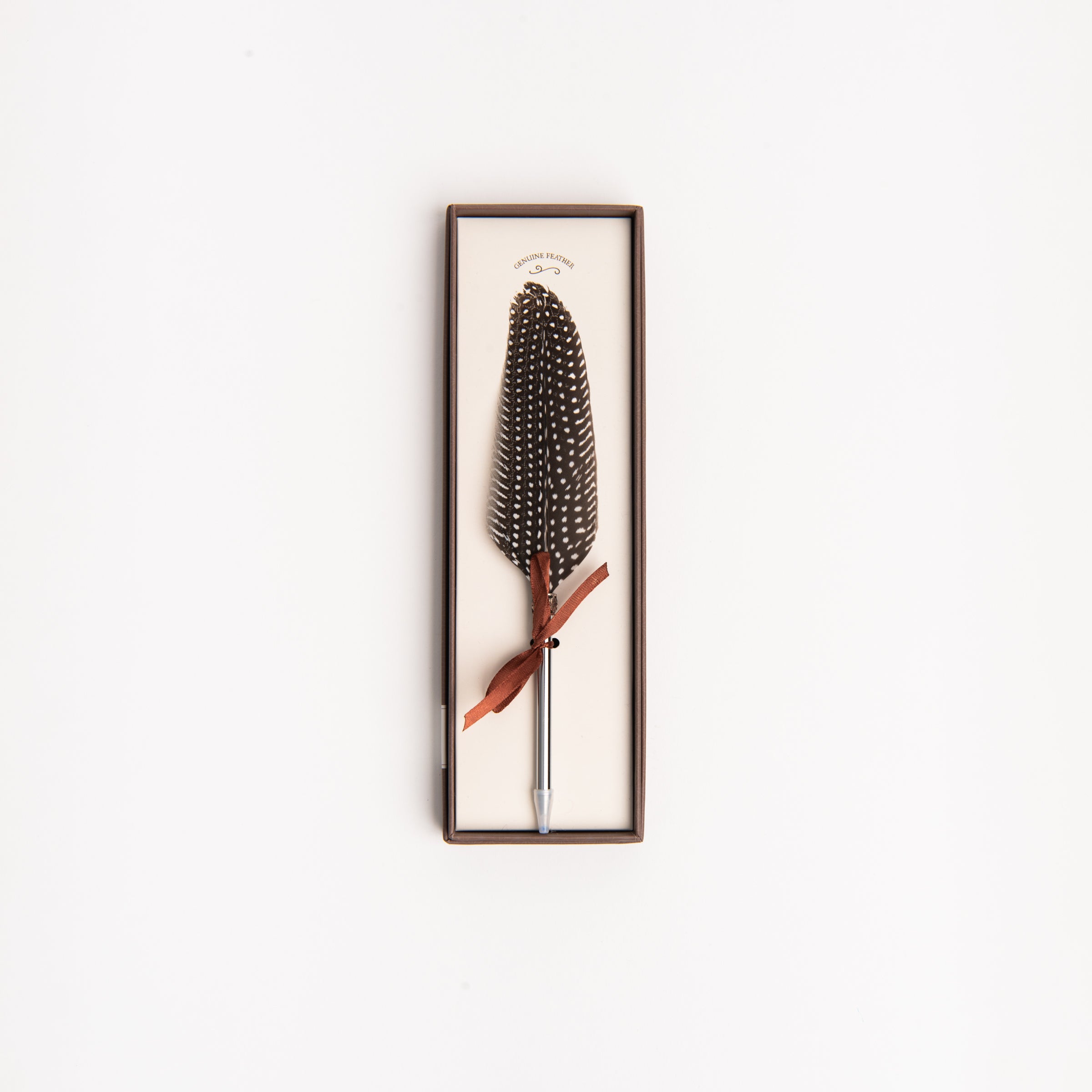 Feather pen on a white background at Addison West