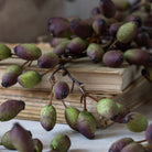 Close up of Abigail Ahern Artificial Barberry on a table at Addison West