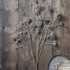 Abigail Ahern Faux Gypsophila Spray on a grey background at Addison West