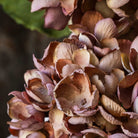 Abigail Ahern Faux Hydrangea in Antique Pink on a grey background at Addison West