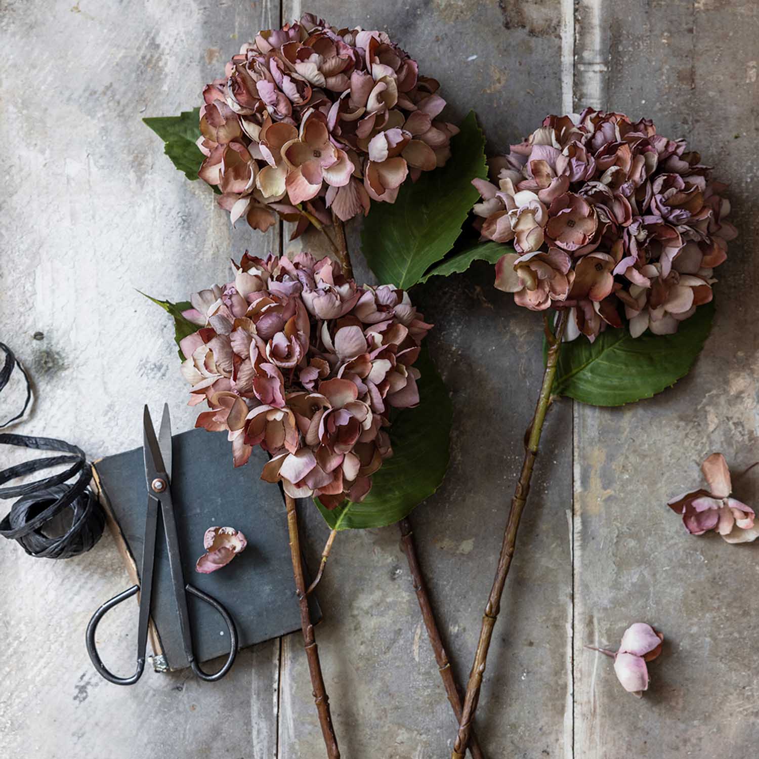 Abigail Ahern Faux Hydrangea in Antique Pink on a grey background at Addison West