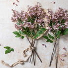 Abigail Ahern Faux Japanese Cherry in Blush in a vase on a beige background at Addison West