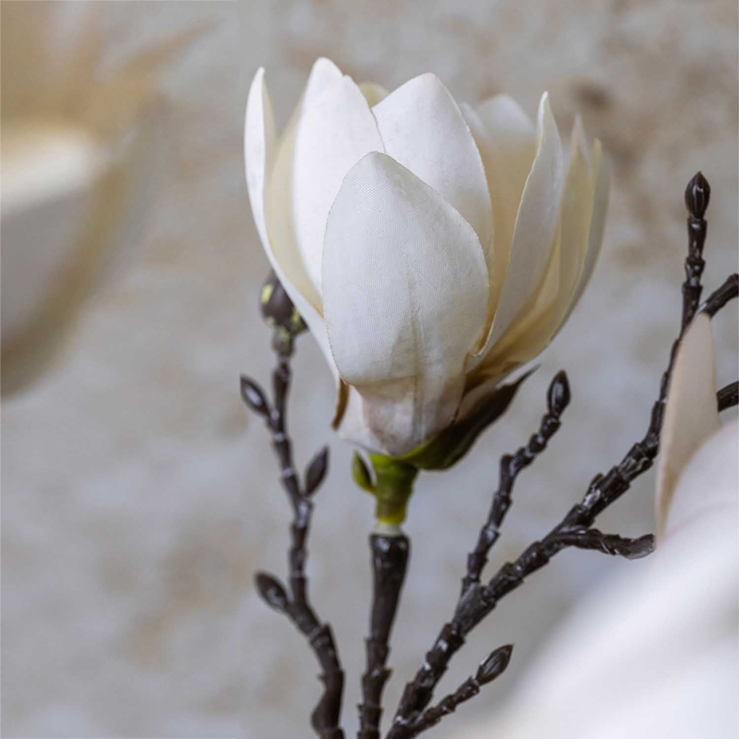 Abigail Ahern Faux Magnolia on a grey background at Addison West