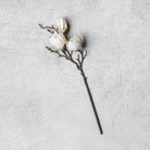 Abigail Ahern Faux Magnolia on a grey background at Addison West