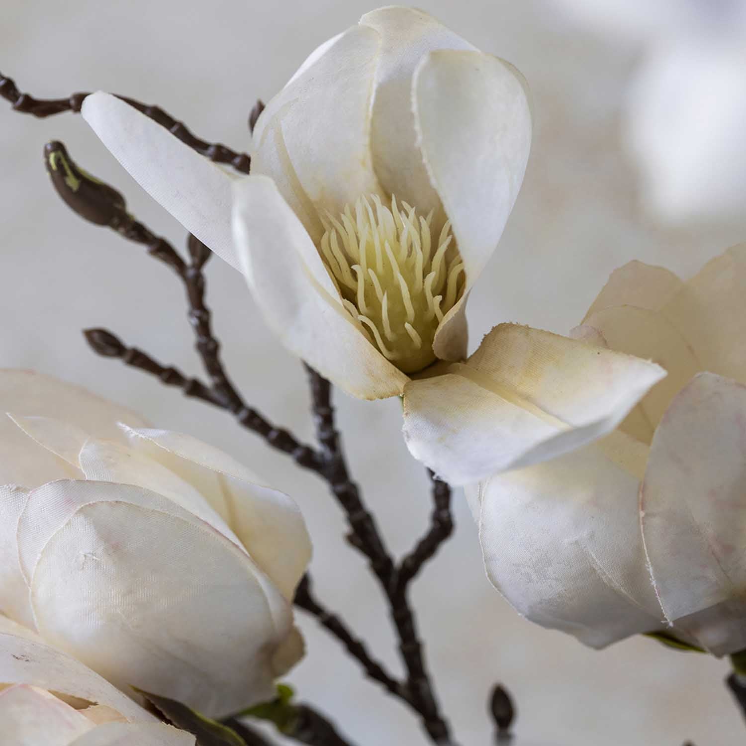 Abigail Ahern Faux Magnolia on a grey background at Addison West