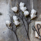 Abigail Ahern Faux Magnolia on a grey background at Addison West