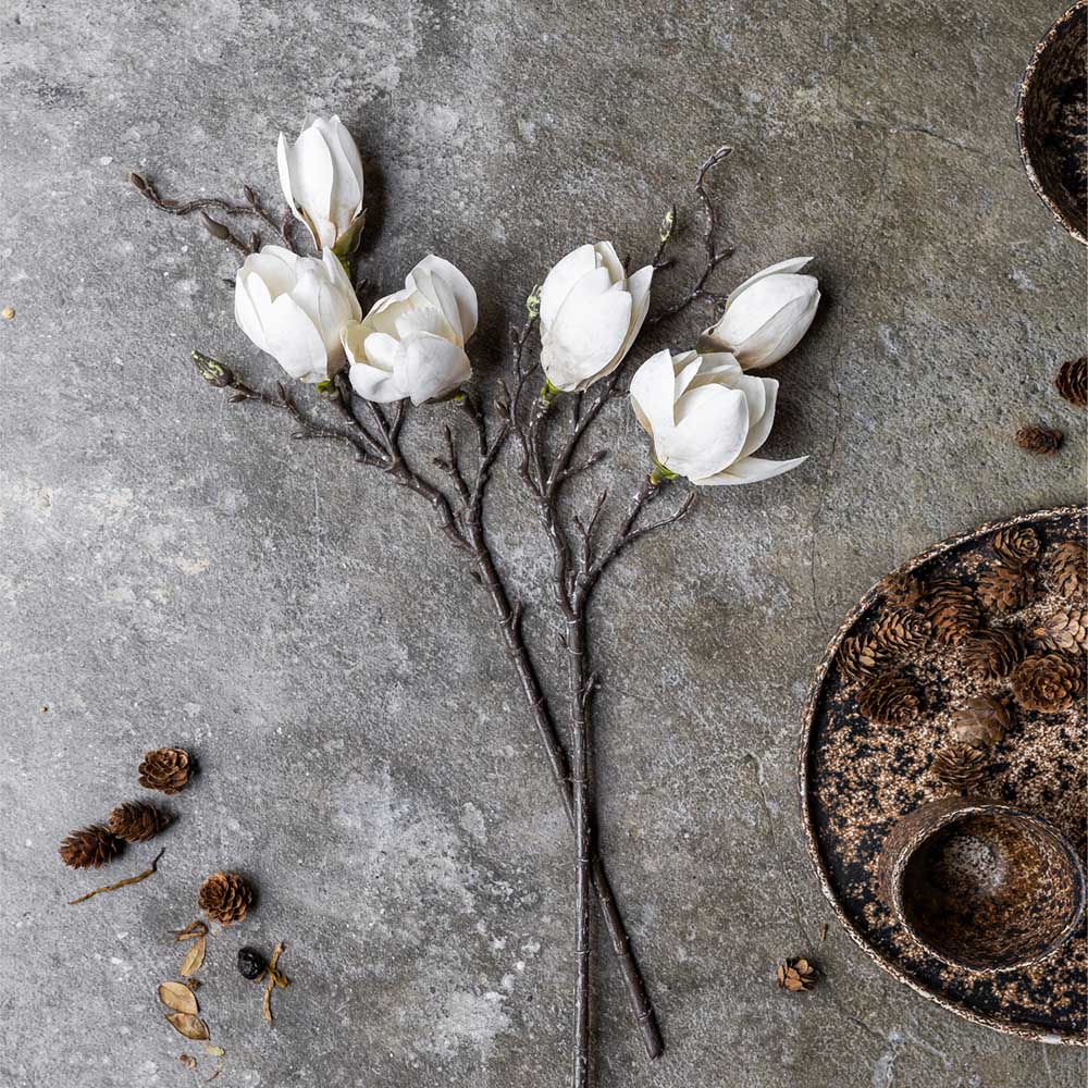 Abigail Ahern Faux Magnolia on a grey background at Addison West