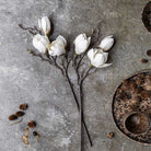 Abigail Ahern Faux Magnolia on a grey background at Addison West