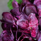 Abigail Ahern Faux Real Touch Hydrangea in Crimson on a grey background at Addison West