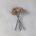 Abigail Ahern Faux Rosehip Bunch in Blush on a beige background at Addison West