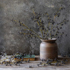Abigail Ahern Faux Salix Berry on a grey background at Addison West