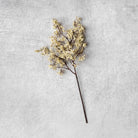 Abigail Ahern Faux Sedge in Winter Dew on a grey background at Addison West