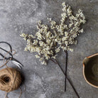 Abigail Ahern Faux Sedge in Winter Dew on a grey background at Addison West