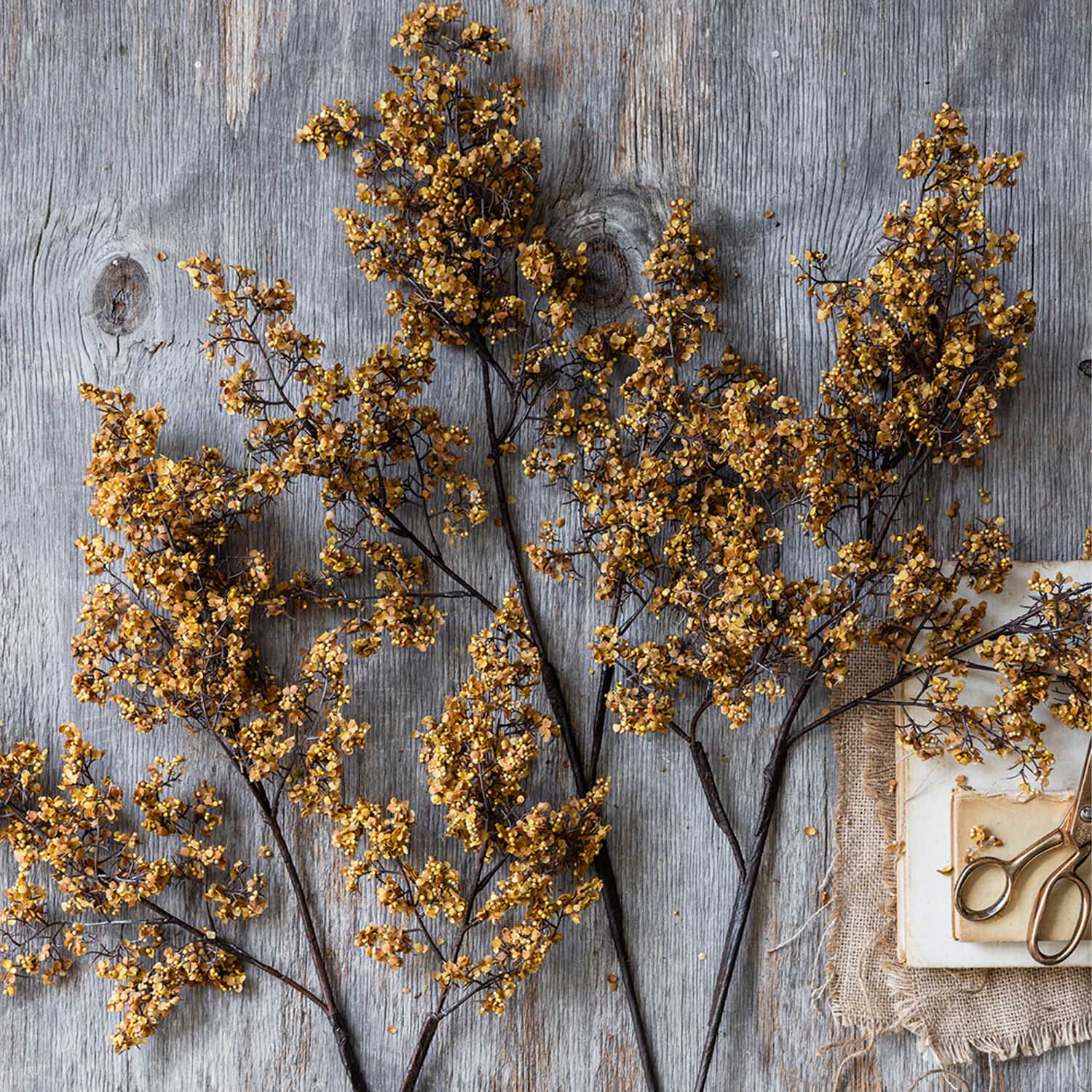 Abigail Ahern Artificial Sedge Winter in Saffron on a grey background at Addison West
