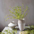 Abigail Ahern Faux Succulent Branch in Green on a table at Addison West