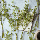 Abigail Ahern Faux Succulent Branch in Green on a table at Addison West