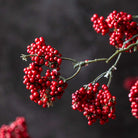 Abigail Ahern Artificial Wild Winter Berry in Ruby on a grey background at Addison West