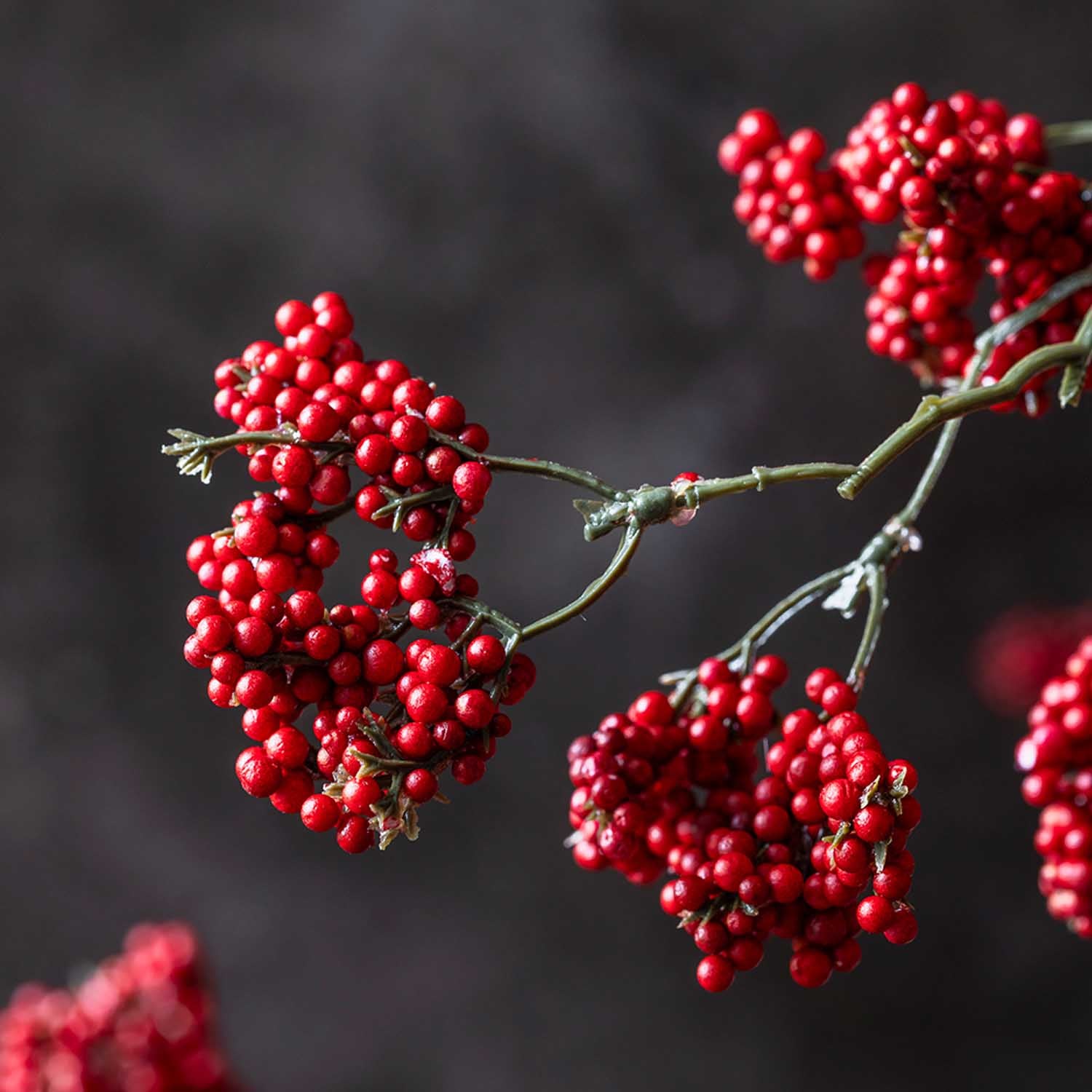 Abigail Ahern Artificial Wild Winter Berry in Ruby on a grey background at Addison West