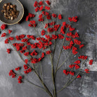 Abigail Ahern Artificial Wild Winter Berry in Ruby on a grey background at Addison West