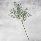 Abigail Ahern Faux Willow Branch on a grey background at Addison West