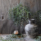 Abigail Ahern Faux Willow Branch on a grey background at Addison West