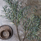 Abigail Ahern Faux Willow Branch on a grey background at Addison West