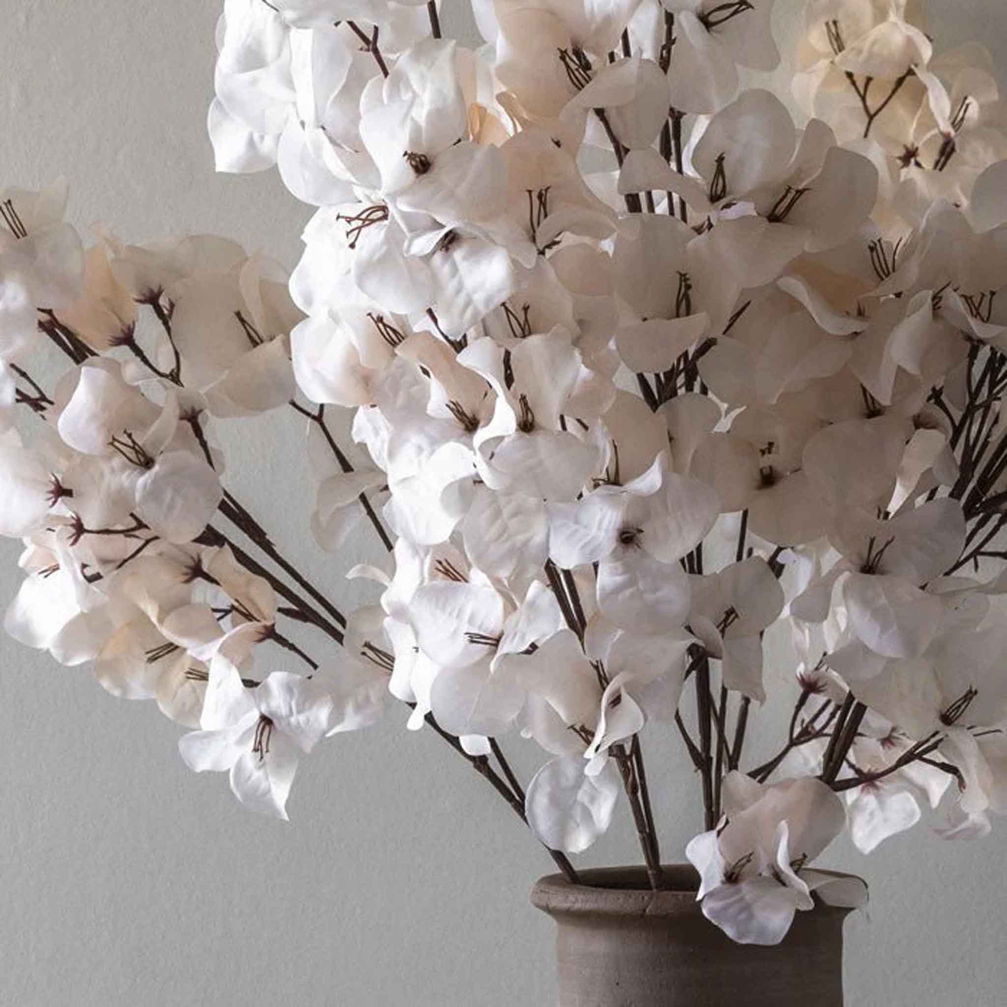 Abigail Ahern Faux Bougainvillea in Blush on a grey background at Addison West