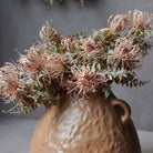 Abigail Ahern Faux Leucospermum Bush in a brown vase at Addison West