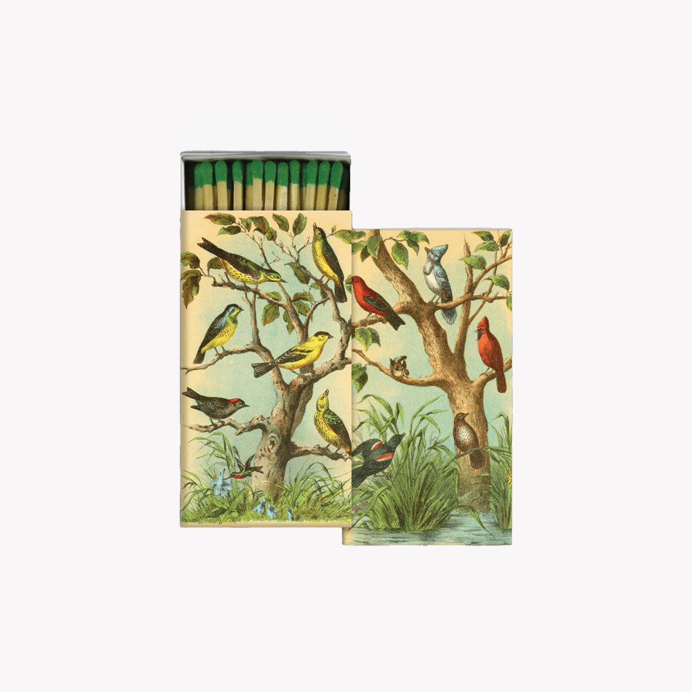 Bird Studies box of Matches with illustration of various birds in a tree on a white background