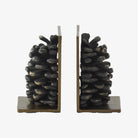 Pine cone bookends on a white background