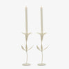 Set of two White metal candle holder with floral petals and leaves on a white background