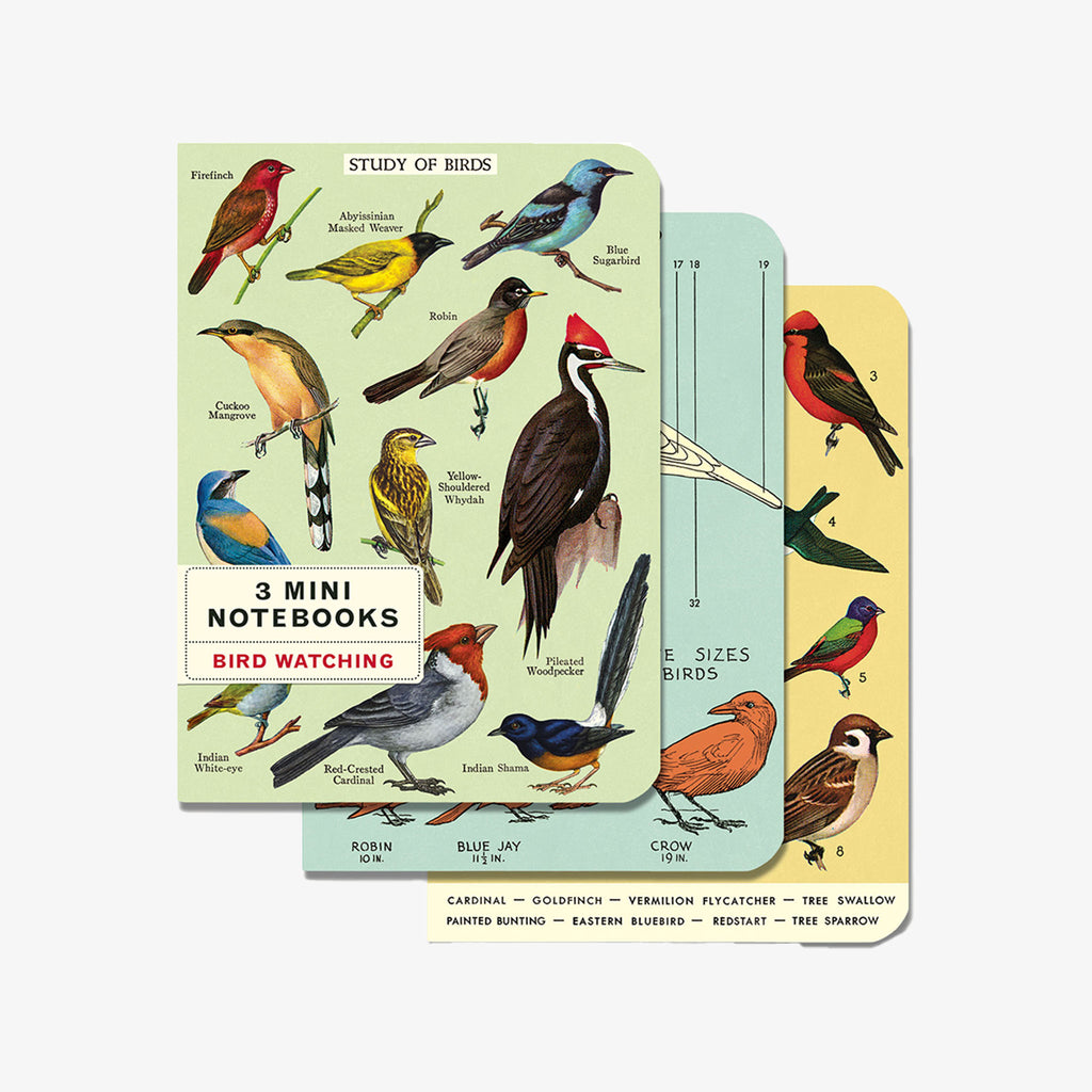 Set of three Cavallini Paper Bird Watching Mini Notebooks on a white background