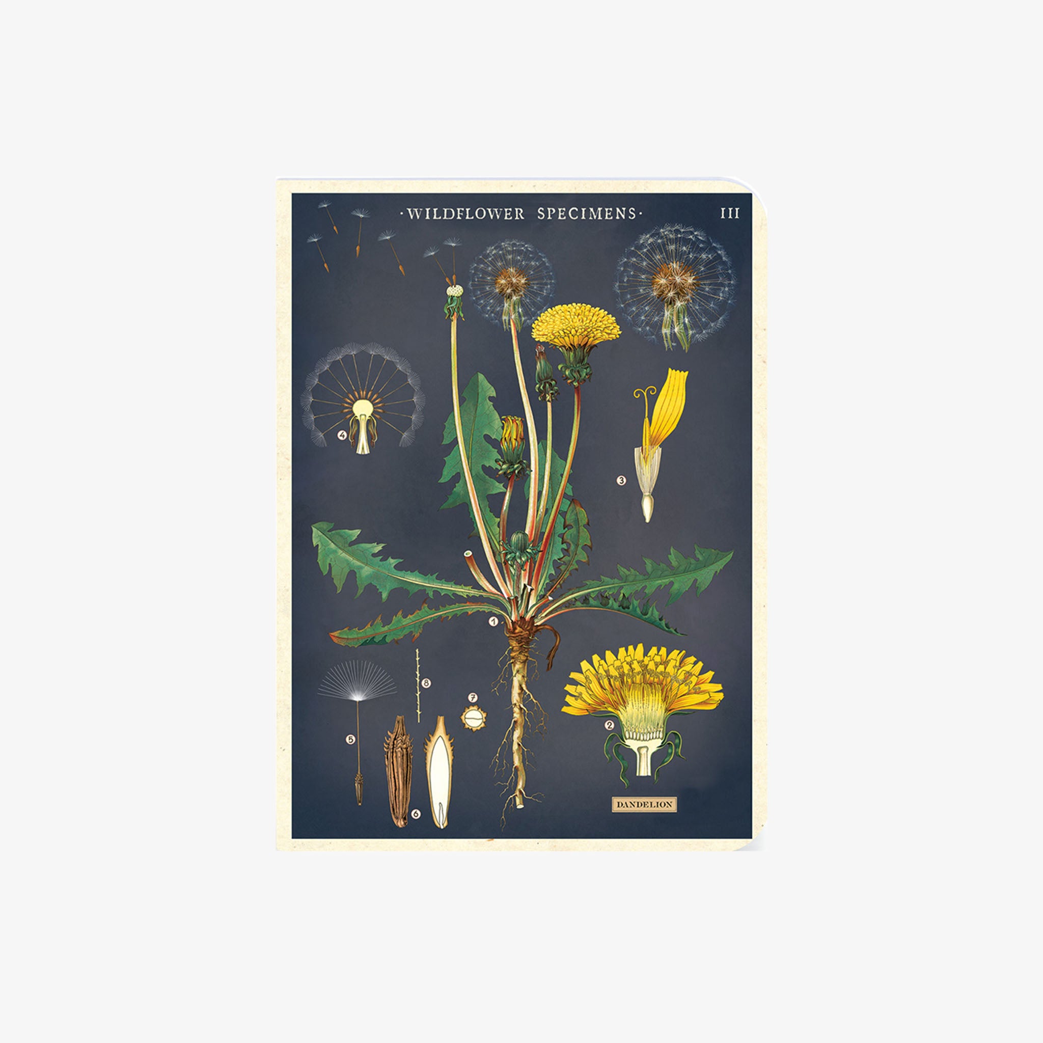 Cavallini Paper Wildflowers Mini Notebooks - Addison West 