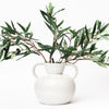 White round vase with two twisted handles filled with olive branches on a white background