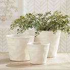 Large Conservatory Organic Tapered Pot on a table at Addison West