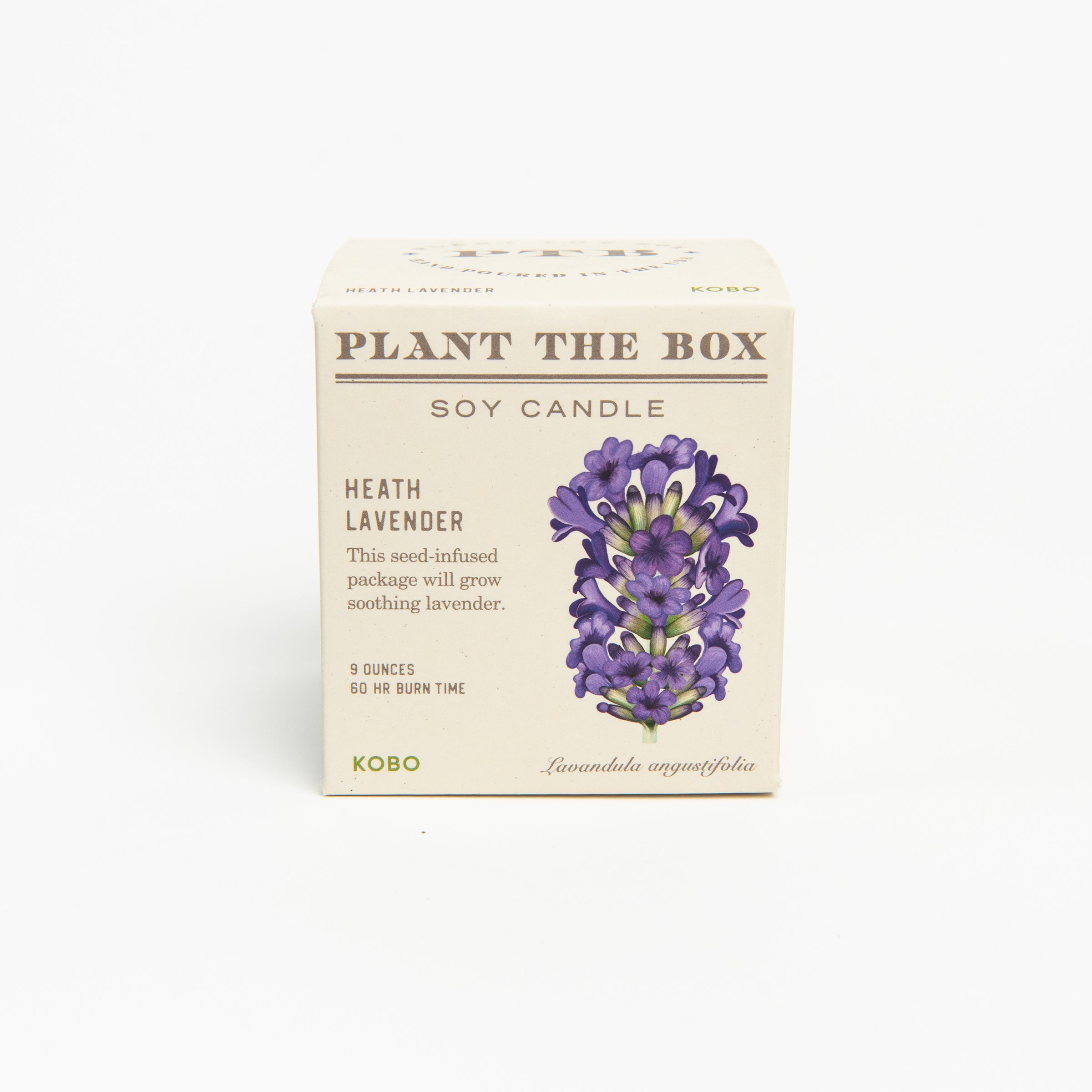 Heath Lavender Candle, seeded plantable box on a white background at Addison West