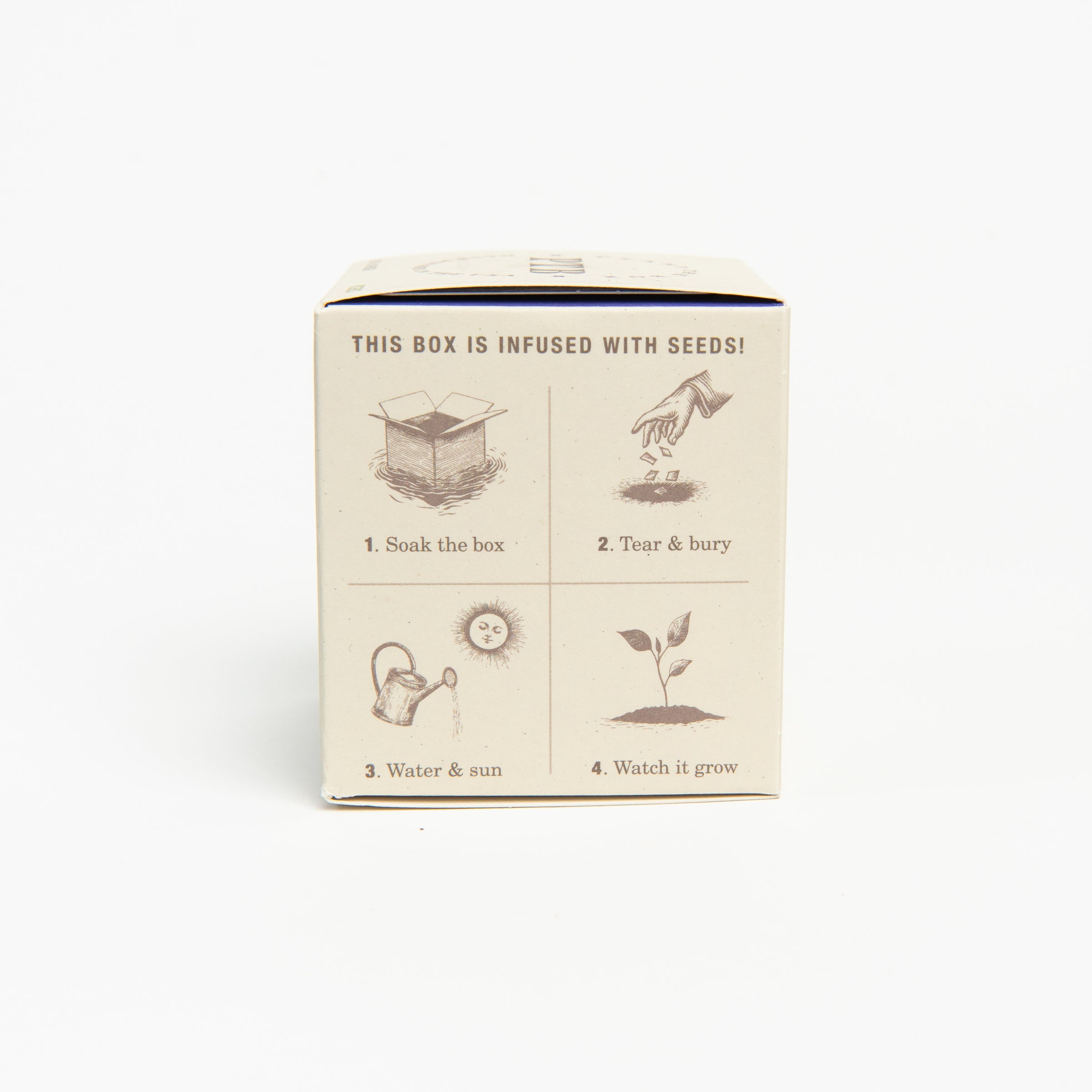 Heath Lavender Candle, seeded plantable box on a white background at Addison West