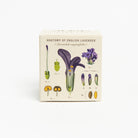 Heath Lavender Candle, seeded plantable box on a white background at Addison West