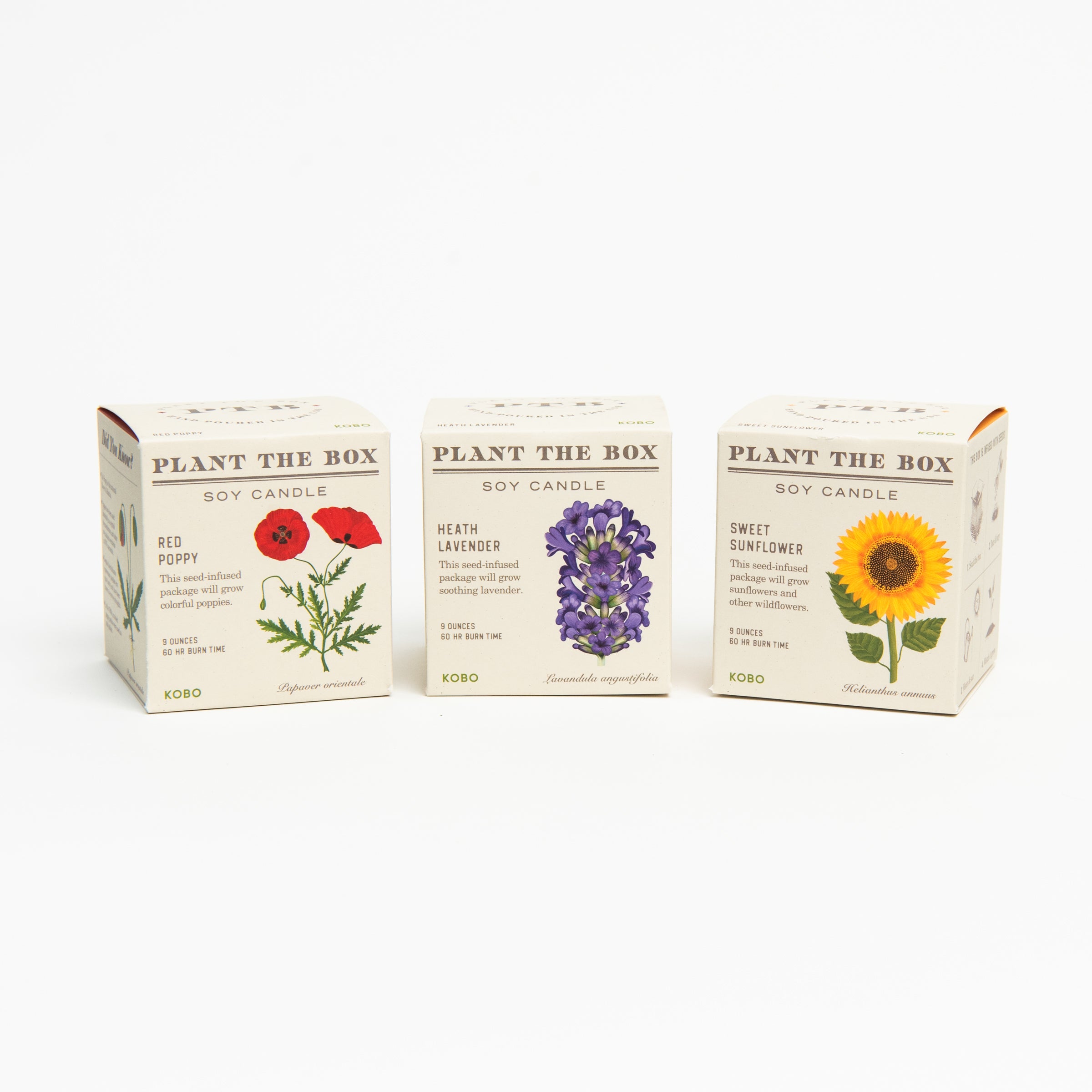 KOBO candles, seed plantable soy wax candles on a white background at Addison West