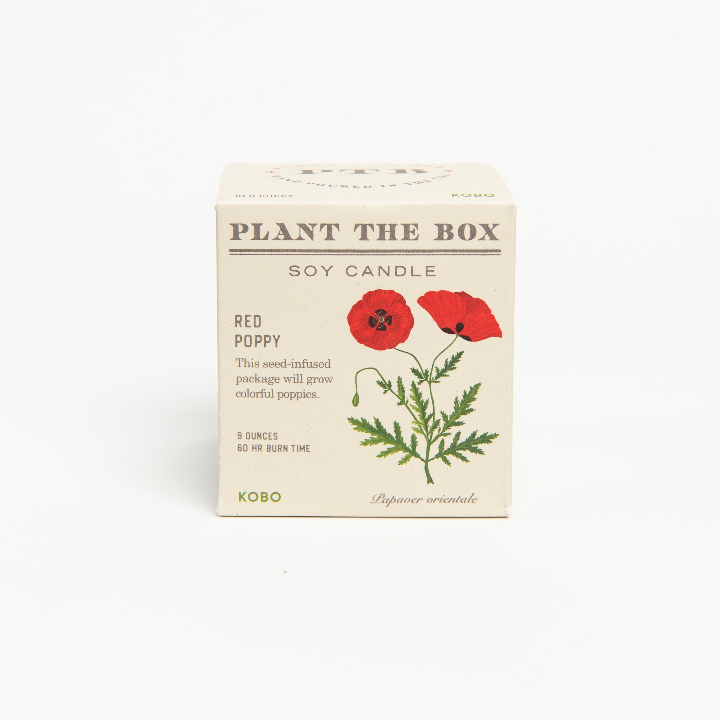 Red Poppy Candle on a white background at Addison West
