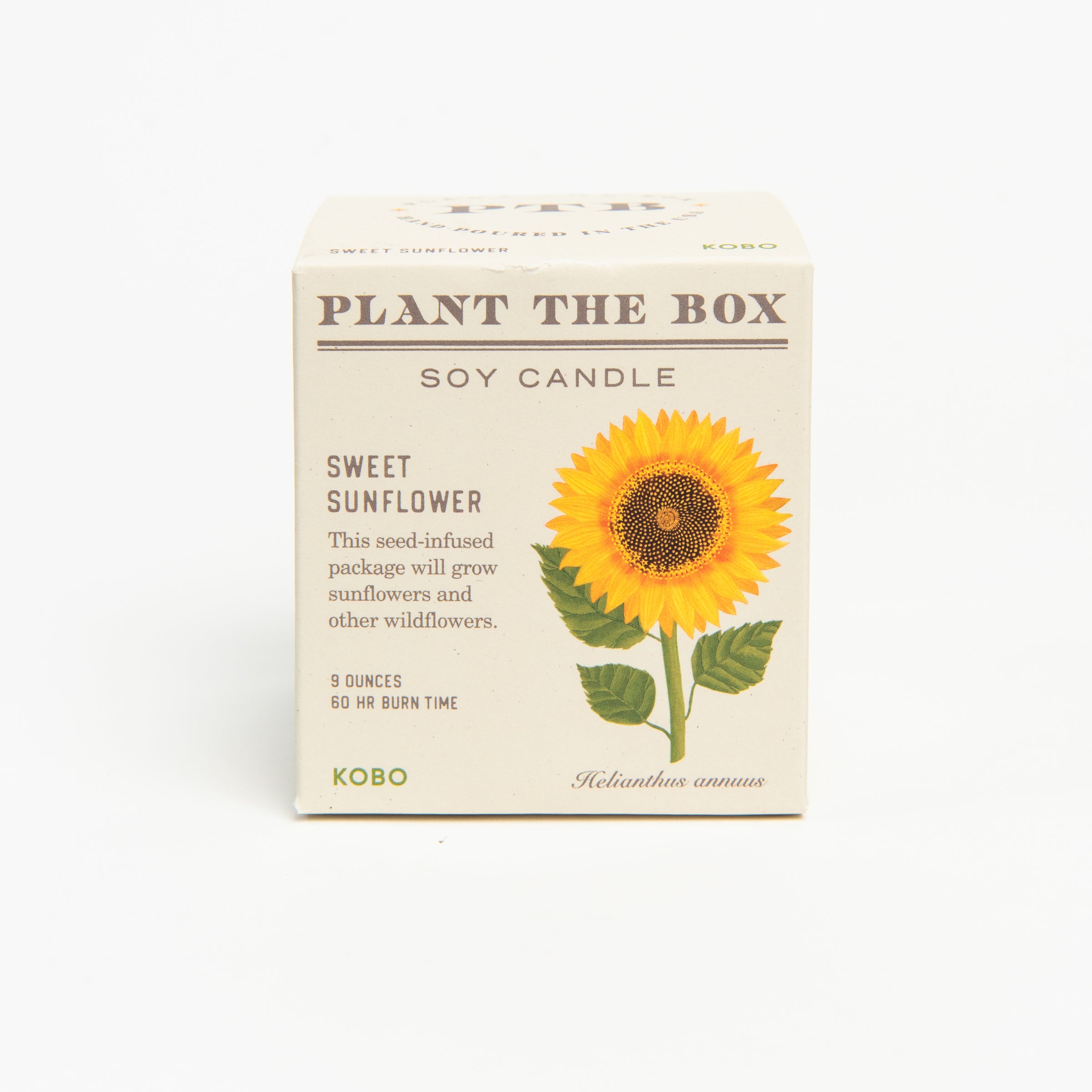 Sweet Sunflower Candle, seed plantable box on a white background at Addison West