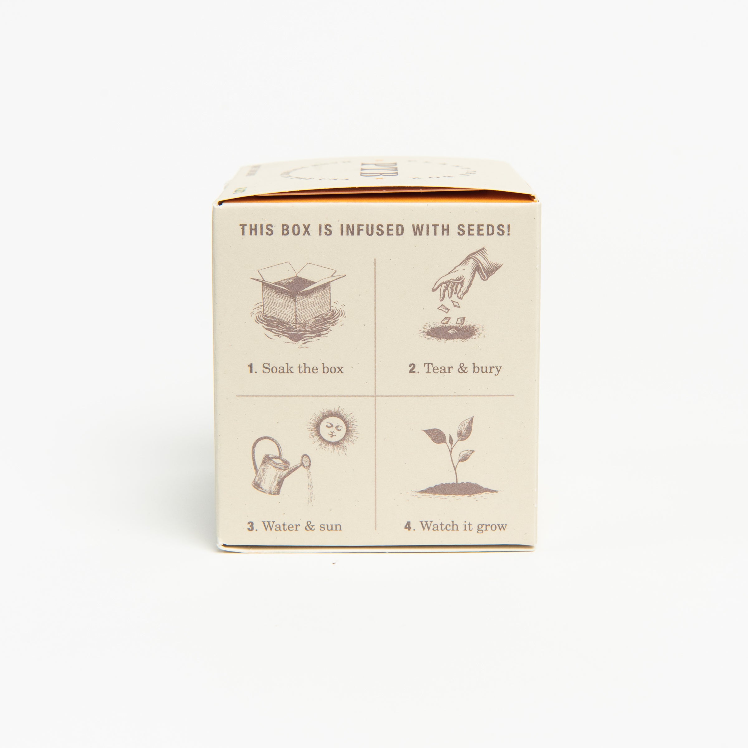 Sweet Sunflower Candle, seed plantable box on a white background at Addison West