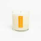 Sweet Sunflower Candle, seed plantable box on a white background at Addison West