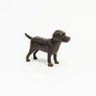 Cast Iron Lab in Chocolate on a white background at Addison West